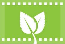 Segundo brote de cinefilia verde en el invierno porteño