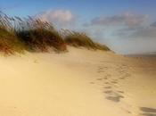 Cómo Crear Legado Dejar Huella Historia Pasos