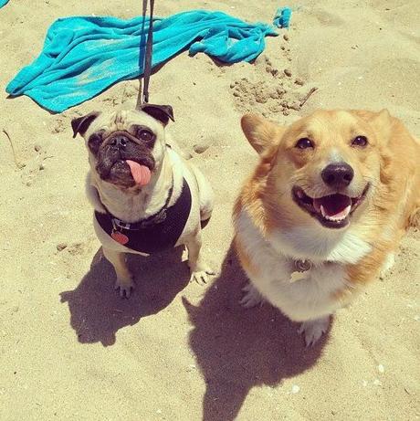 San Viernes y la country life