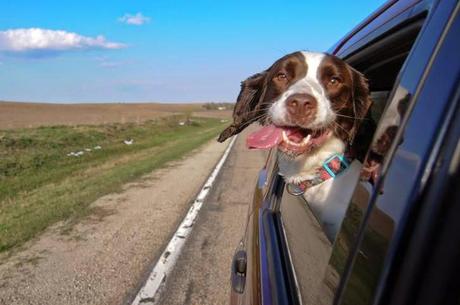 San Viernes y la country life