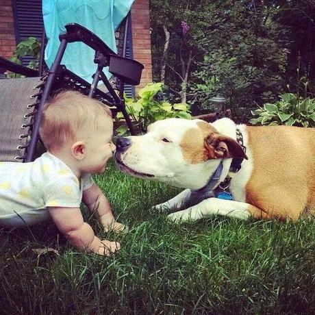 San Viernes y la country life