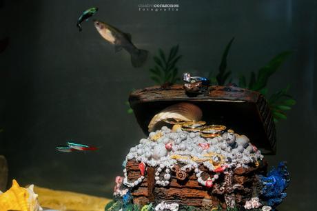 Pablo y Esther | Boda en San Fernando 