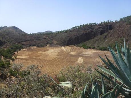 Contrastes de Gran Canaria a través de sus miradores (III) Mirador