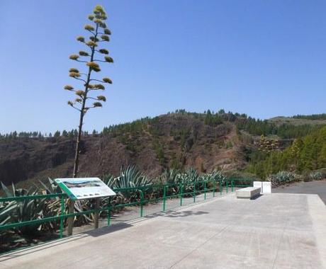 Contrastes de Gran Canaria a través de sus miradores (III) Mirador