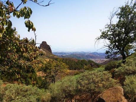 Contrastes de Gran Canaria a través de sus miradores (III) Mirador