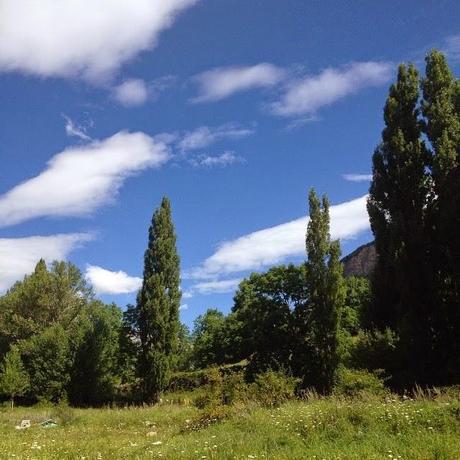 AL MONTE