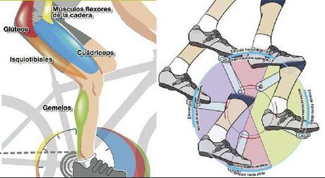 ¿Cómo mejorar el pedaleo?