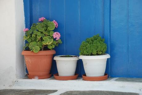 ¿NOS RESISTIMOS A LA FELICIDAD? (y II) ¿Nos resistimos a la felicidad? (y II)