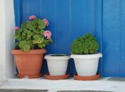 ¿NOS RESISTIMOS FELICIDAD?