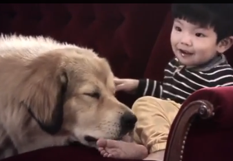 Purina amor sin fronteras