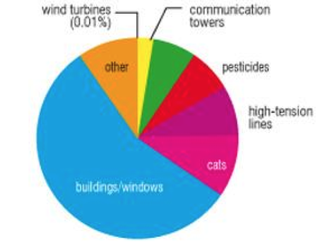 Las granjas de viento y su impacto oculto