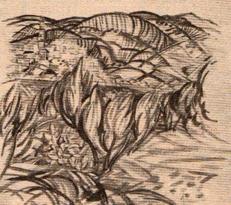 La Beppo: fascinante y fascinadora