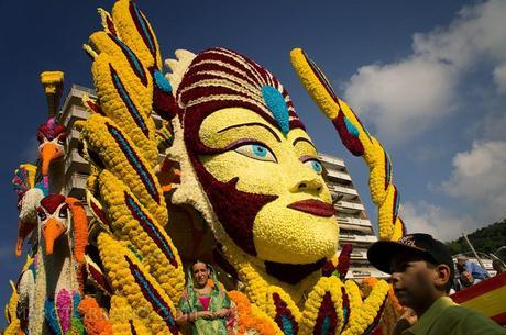 DE BATALLAS, FLORES Y DALIAS