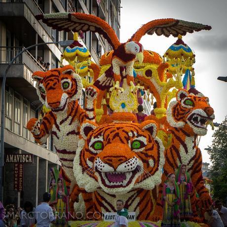 DE BATALLAS, FLORES Y DALIAS