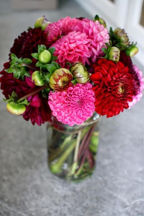 DE BATALLAS, FLORES Y DALIAS