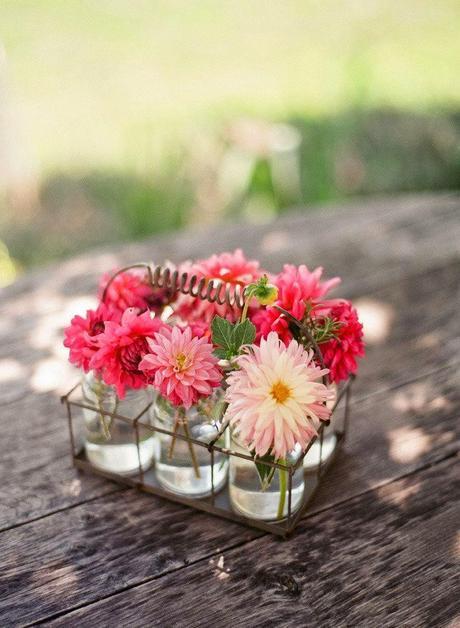 DE BATALLAS, FLORES Y DALIAS