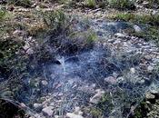 Grandes historias cosas pequeñas-6: ¡Átame!