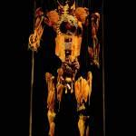 Body Worlds Vital se inaugurá en San Luis Potosí