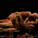 Body Worlds Vital se inaugurá en San Luis Potosí