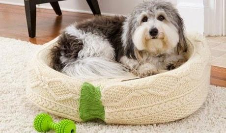 Cama para gatos y perros reciclando ropa