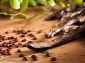 Bizcocho harina algarroba