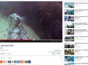 Youtube ahora permite agregar vídeos cola para transmitir Chromecast