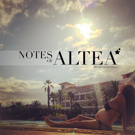 notes of the week barbara crespo tumblr social media instagram youtube instavideo facebook twitter