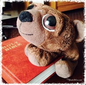 Route 66 Nuestra mascota Ossy