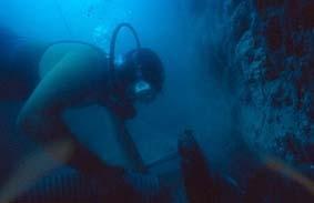 Yacimiento neolítico de La Draga-Banyoles-Girona