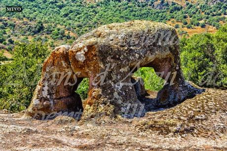 Y SE HAN ACABADO LAS VACACIONES, EL LUNES A COMENZAR DE NUEVO, HE TENIDO UN VERANO FANTÁSTICO, Y TODAVÍA QUEDA ALGO POR HACER...31-08-2014...!!!