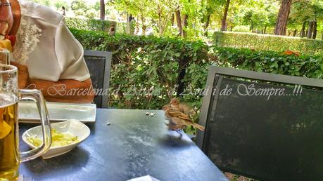 Y SE HAN ACABADO LAS VACACIONES, EL LUNES A COMENZAR DE NUEVO, HE TENIDO UN VERANO FANTÁSTICO, Y TODAVÍA QUEDA ALGO POR HACER...31-08-2014...!!!