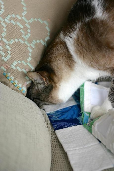 Un poco de tranquilidad cross II_21_20140522 - Version 2