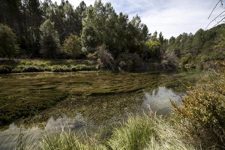 Adonde el río nos lleve. Guadalajara, el Alto Tajo y su Fiesta de los Gancheros