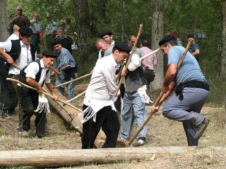 Adonde el río nos lleve. Guadalajara, el Alto Tajo y su Fiesta de los Gancheros