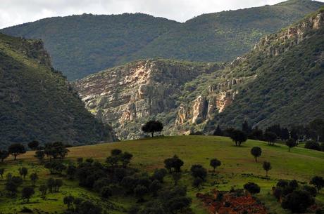 Julio de 1212. Salvatierra y la gesta de las Navas de Tolosa (2ª Parte)