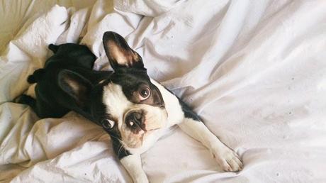 La decisión más difícil: blog sí o blog no??