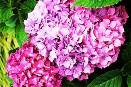 La decisión más difícil: blog sí o blog no??