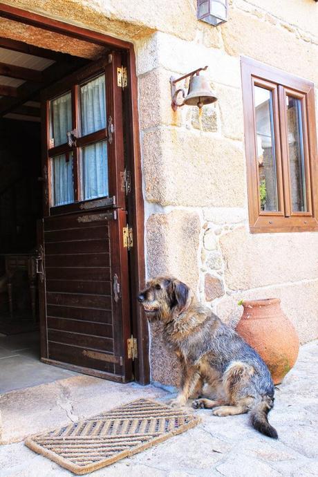 La decisión más difícil: blog sí o blog no??