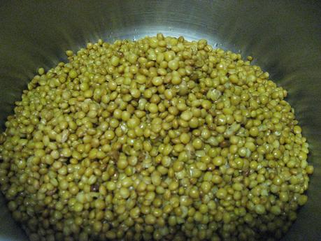 LENTEJAS VEGETARIANAS CON ESPECIAS