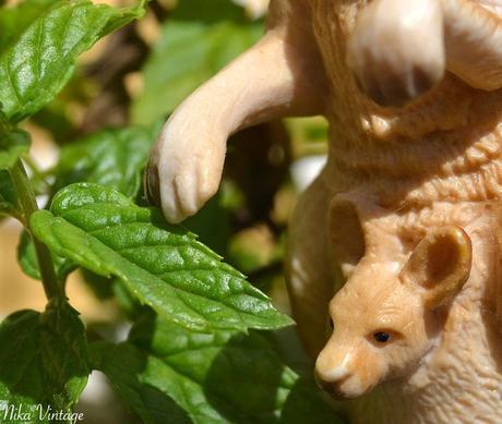 PLAN-MACRO, Canguro plastico, fotografia, plan-macro, canguro, animal plastico