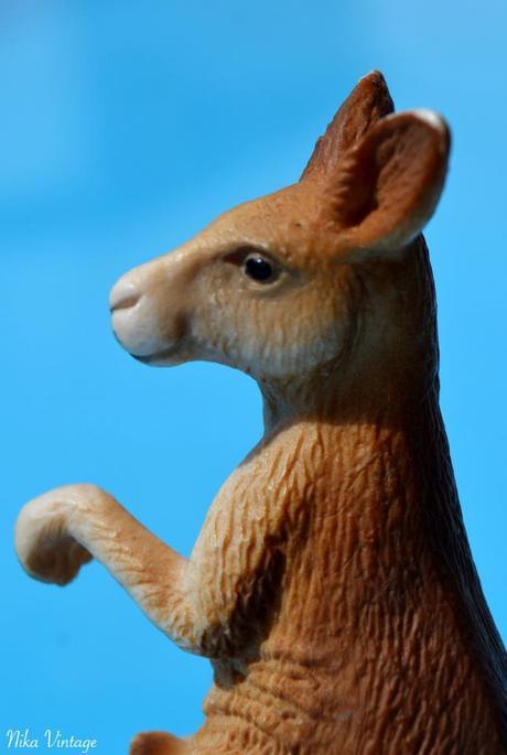 PLAN-MACRO, Canguro plastico, fotografia, plan-macro, canguro, animal plastico