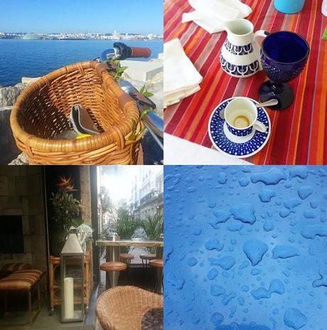 ¡Hola, septiembre! Ribbet collage