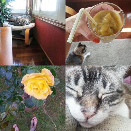 ¡Hola, septiembre! Ribbet collage