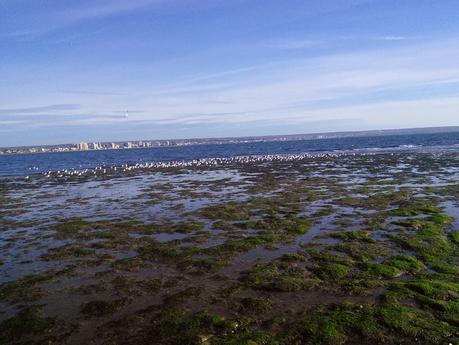 24. Puerto Madryn