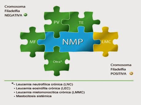 Neoplasias mieloproliferativas: Aspecto básicos para el médico de familia