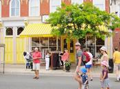 Cactus Festival, Dundas,