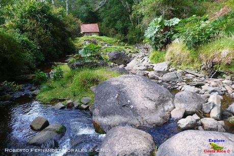 Truchas Selva Madre -San Isidro de El Guarco, Cartago-