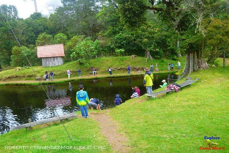 Truchas Selva Madre -San Isidro de El Guarco, Cartago-