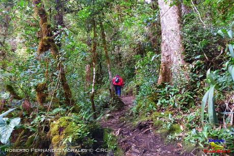 Truchas Selva Madre -San Isidro de El Guarco, Cartago-