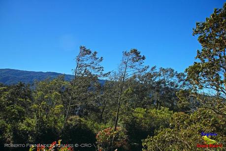 Truchas Selva Madre -San Isidro de El Guarco, Cartago-